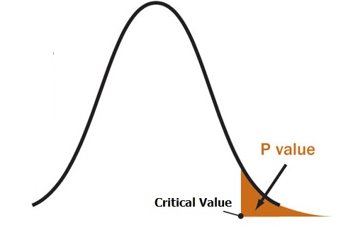 Fig. 1: Visualization of the P-Value